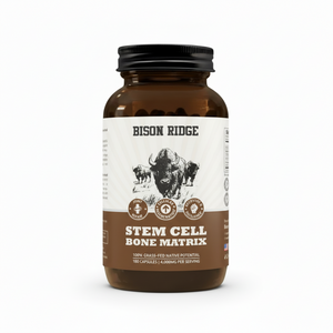 Stem Cell Bone Matrix