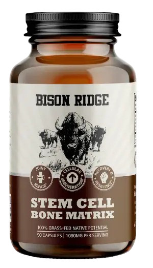 (3 Pk) Stem Cell Bone Matrix